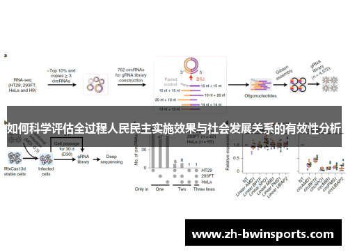 如何科学评估全过程人民民主实施效果与社会发展关系的有效性分析